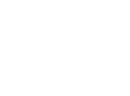 Electronic Car